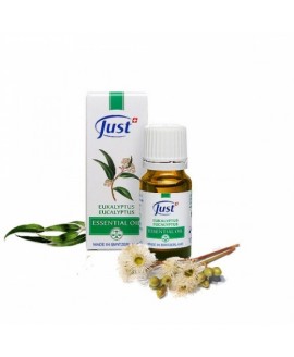 Масло Just Эвкалипт 10мл